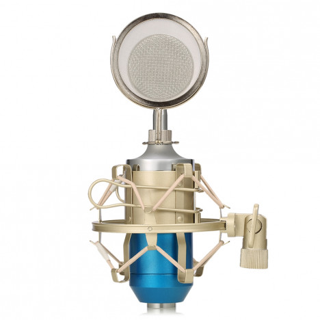 LEIHAO BM - 8000 Professional Sound Studio Recording Condenser Microphone BLUE