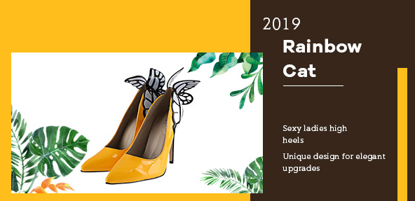 women shoes